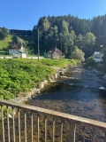 BGU16m2526_Schwarzwald 4 (6).jpeg