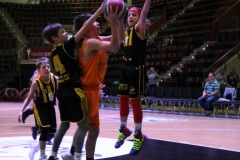 IMG_4617.JPG