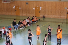 BG Wien 2019 (39).JPG