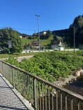 BGU16m2526_Schwarzwald 4 (1).jpeg