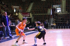 IMG_4616.JPG