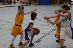 5630.jpg