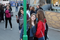 BG Wien 2019 (68).JPG
