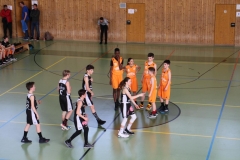 BG Wien 2019 (45).JPG