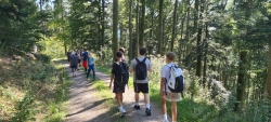 BGU16m2526_Schwarzwald 2 (2).jpeg