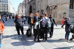 BG Wien 2019 (56).JPG