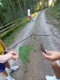 BGU16m2526_Schwarzwald 5 (8).jpeg