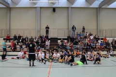IMG_3722.jpg