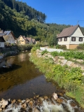 BGU16m2526_Schwarzwald 4 (3).jpeg
