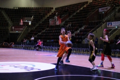 IMG_4619.JPG