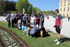 BG Wien 2019 (131).JPG