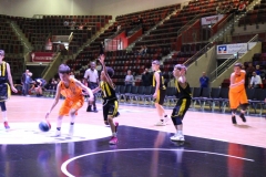 IMG_4626.JPG