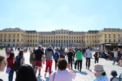 BG Wien 2019 (118).JPG