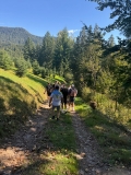 BGU16m2526_Schwarzwald 2 (3).jpeg